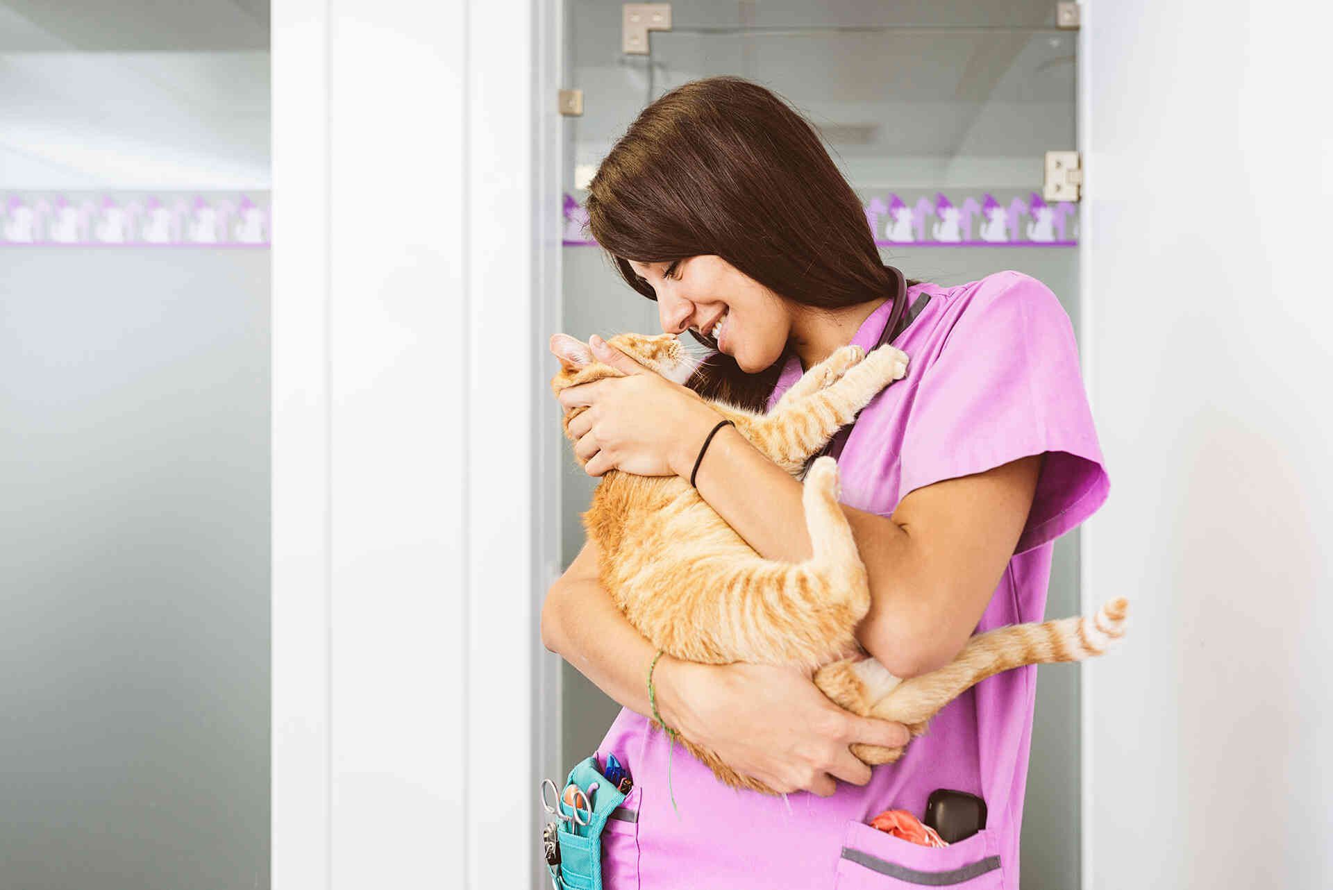 Ветеринарная клиника Haabersti