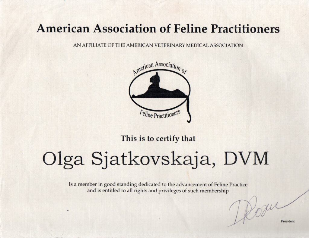 Olga Sjatkovskajan sertifikaatti: aafp membership olga sjatkovskaja 1024x790