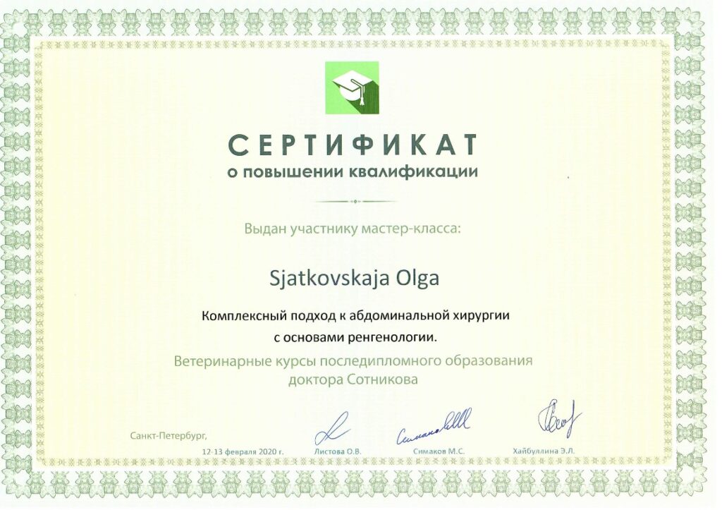 Olga Sjatkovskajan sertifikaatti: abdominal surgery course spb 2020 1024x723