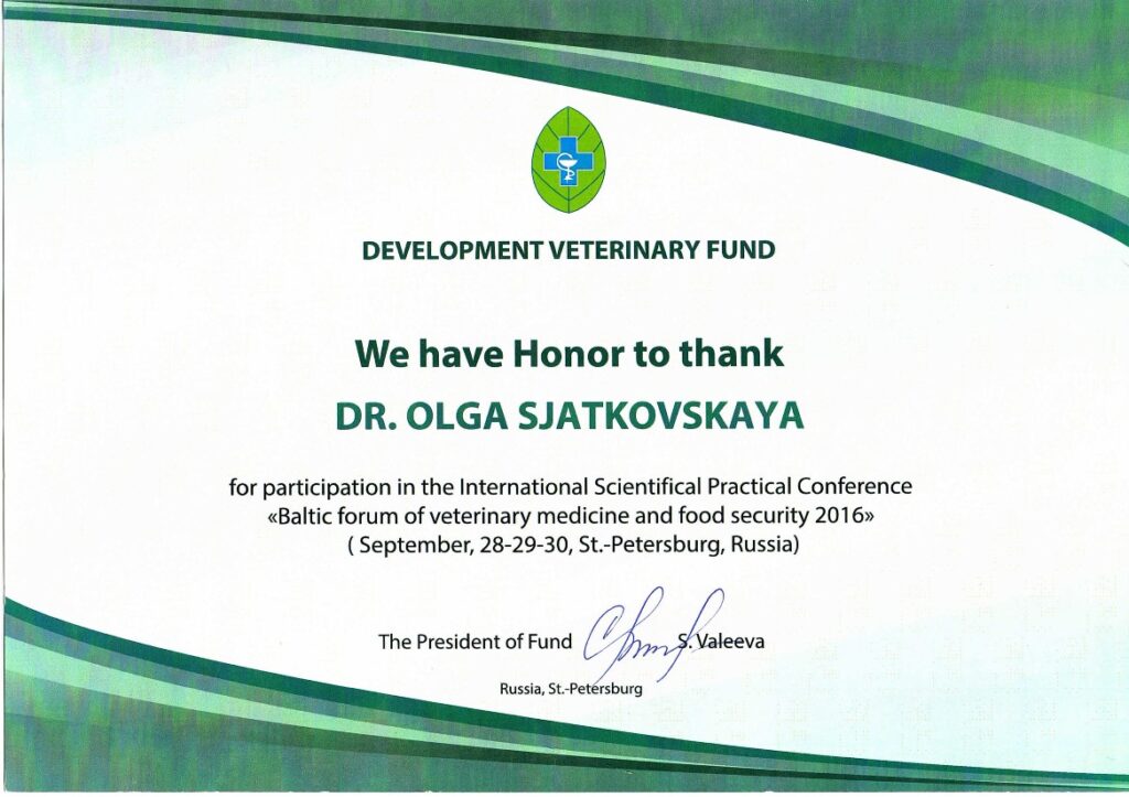 Olga Sjatkovskajan sertifikaatti: baltic forum certificate 2016 1024x723