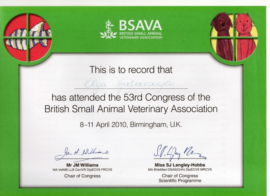 Olga Sjatkovskajan sertifikaatti: bsava congress olga 2010 1024x743