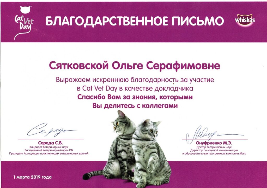 Olga Sjatkovskajan sertifikaatti: cat vet day certificate 2019 1024x723