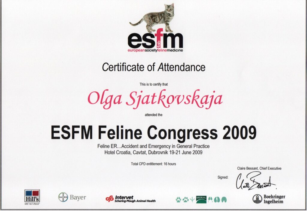 Olga Sjatkovskajan sertifikaatti: certificate esfm congress 2009 1024x704
