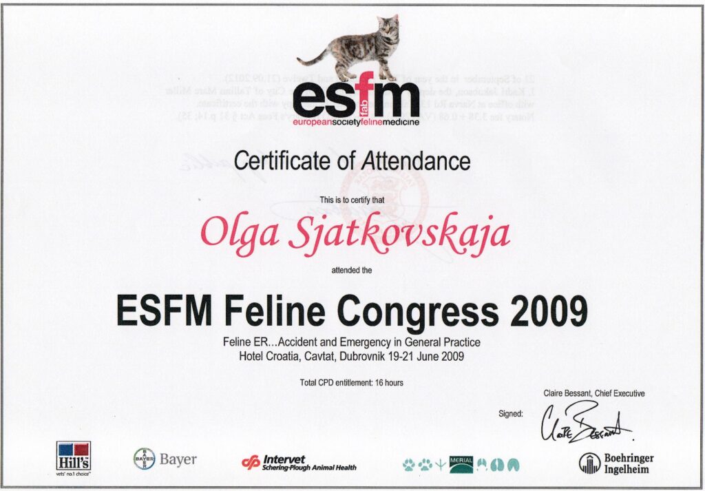 Olga Sjatkovskajan sertifikaatti: certificate esfm dubrovnik 2009 1024x713