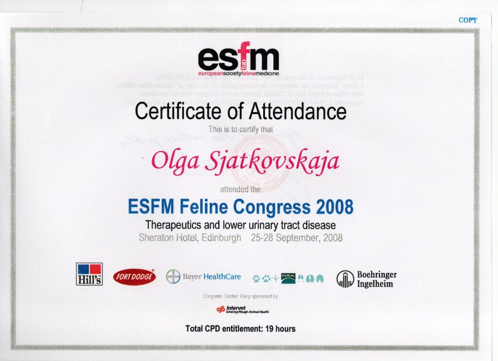 Olga Sjatkovskajan sertifikaatti: certificate esfm edinburgh 2008 1024x743