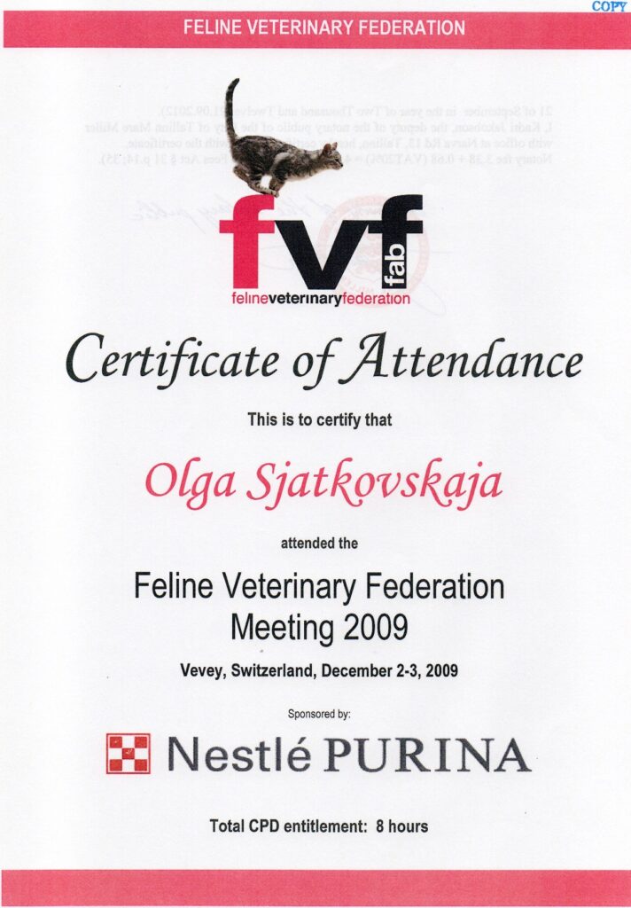 Olga Sjatkovskajan sertifikaatti: certificate feline veterinary federation 712x1024