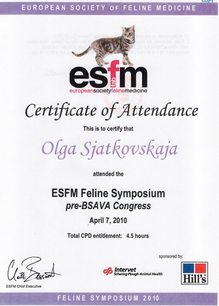 Olga Sjatkovskajan sertifikaatti: esfm symposium 2010 733x1024