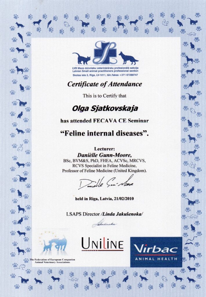 Olga Sjatkovskajan sertifikaatti: fecava internal diseases 2010 711x1024