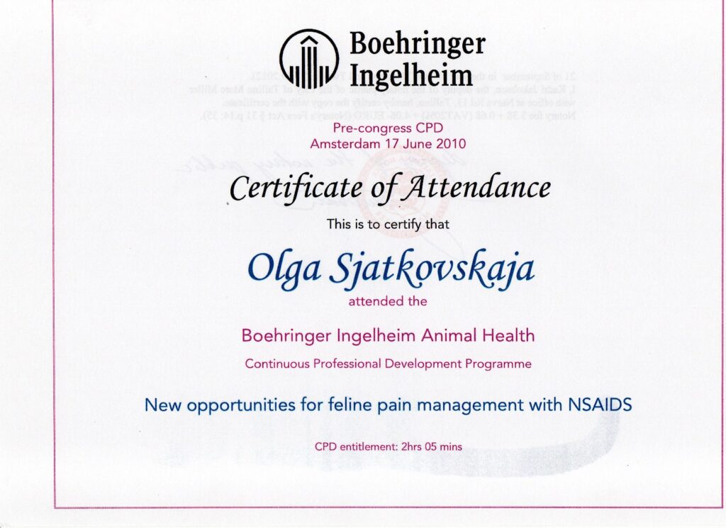 Olga Sjatkovskajan sertifikaatti: feline pain nsaids amsterdam 2010 1024x745
