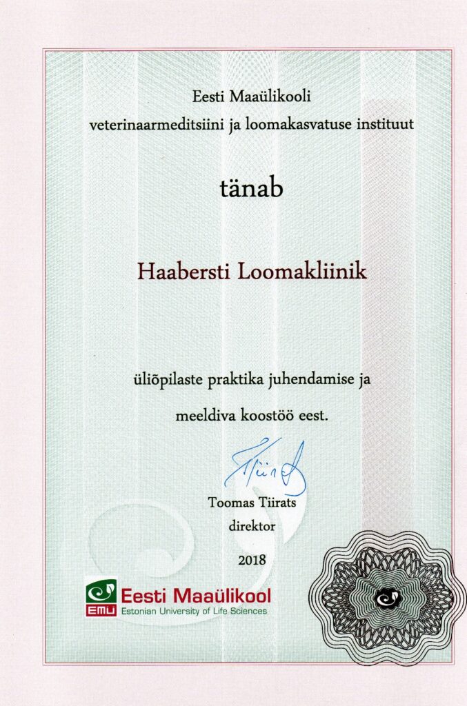 Olga Sjatkovskajan sertifikaatti: haabersti thanks emu 677x1024