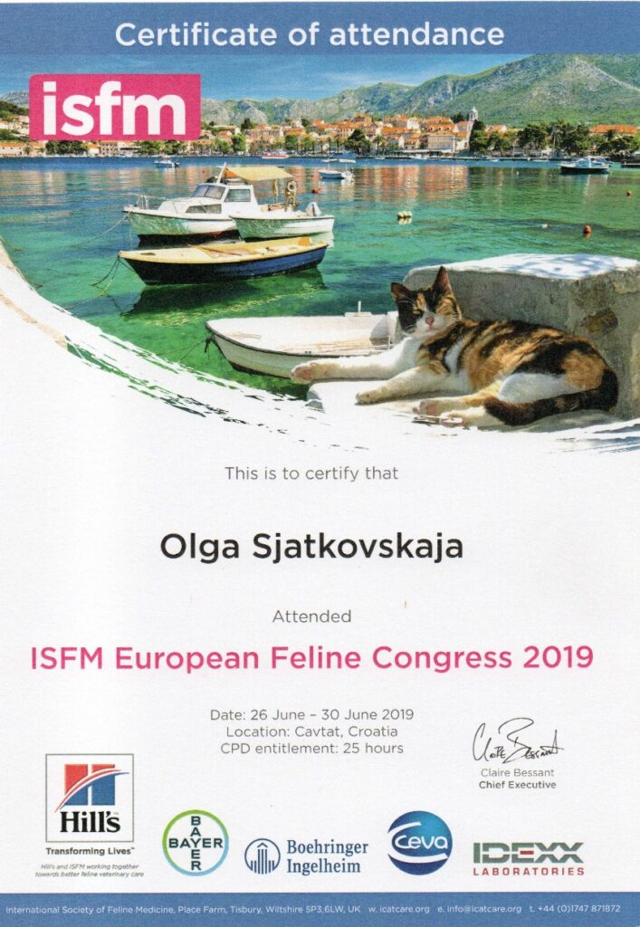 Olga Sjatkovskajan sertifikaatti: isfm feline congress 2019 croatia 707x1024