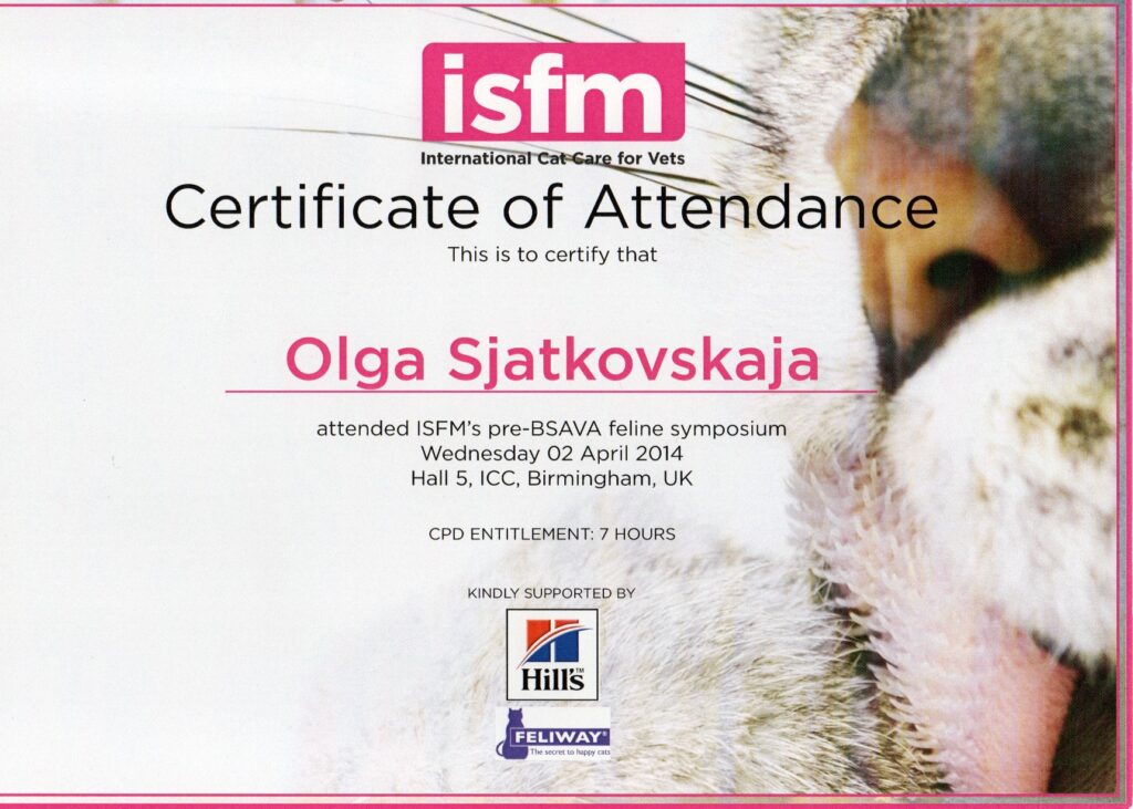 Olga Sjatkovskajan sertifikaatti: isfm pre bsava 2014 birmingham 1024x731