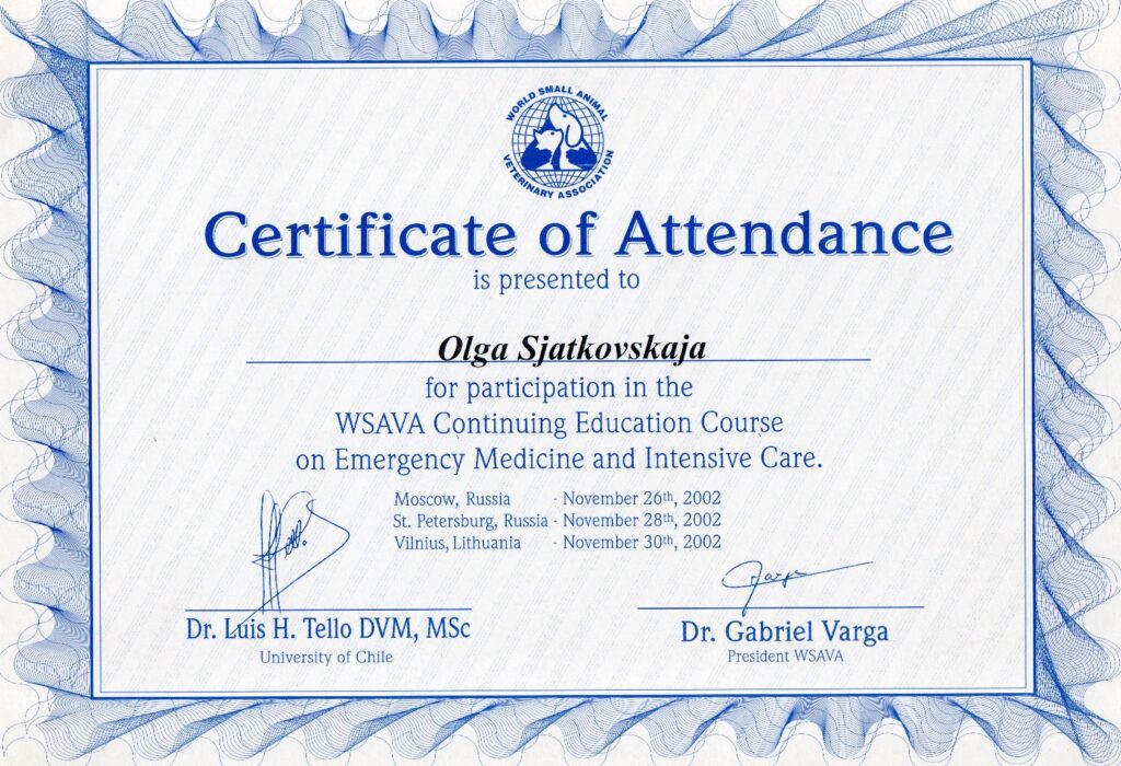 Olga Sjatkovskajan sertifikaatti: sjatkovskaja certificateattendance 1024x700
