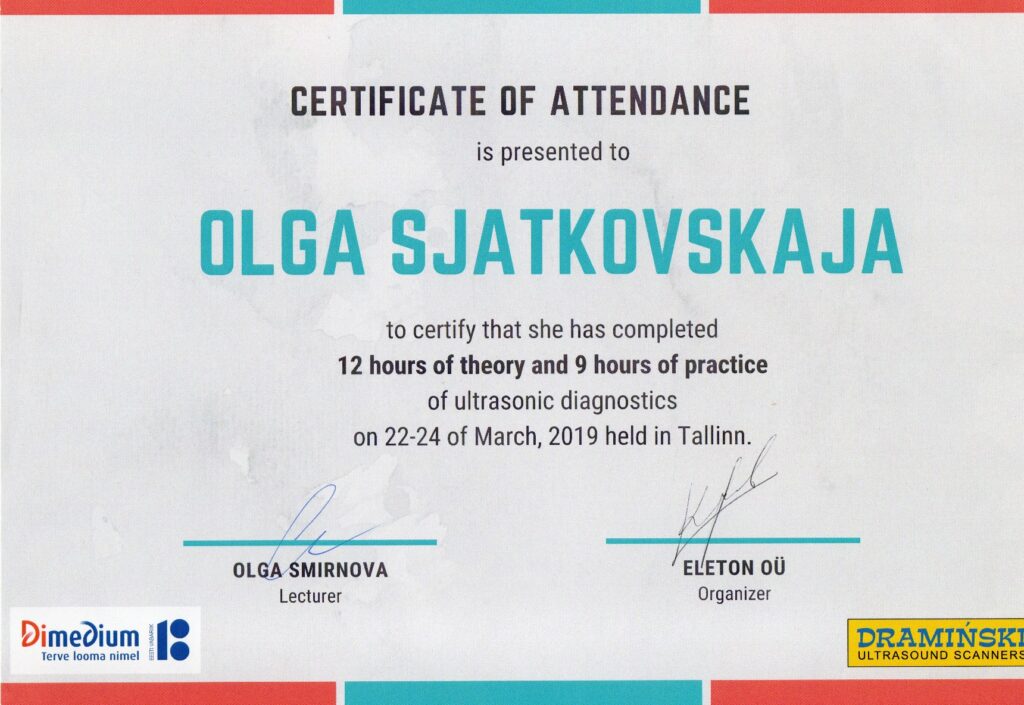 Olga Sjatkovskajan sertifikaatti: ultrasonic diagnostics tallinn 2019 1024x705