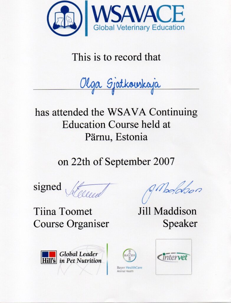 Olga Sjatkovskajan sertifikaatti: wsava course parnu 2007 783x1024