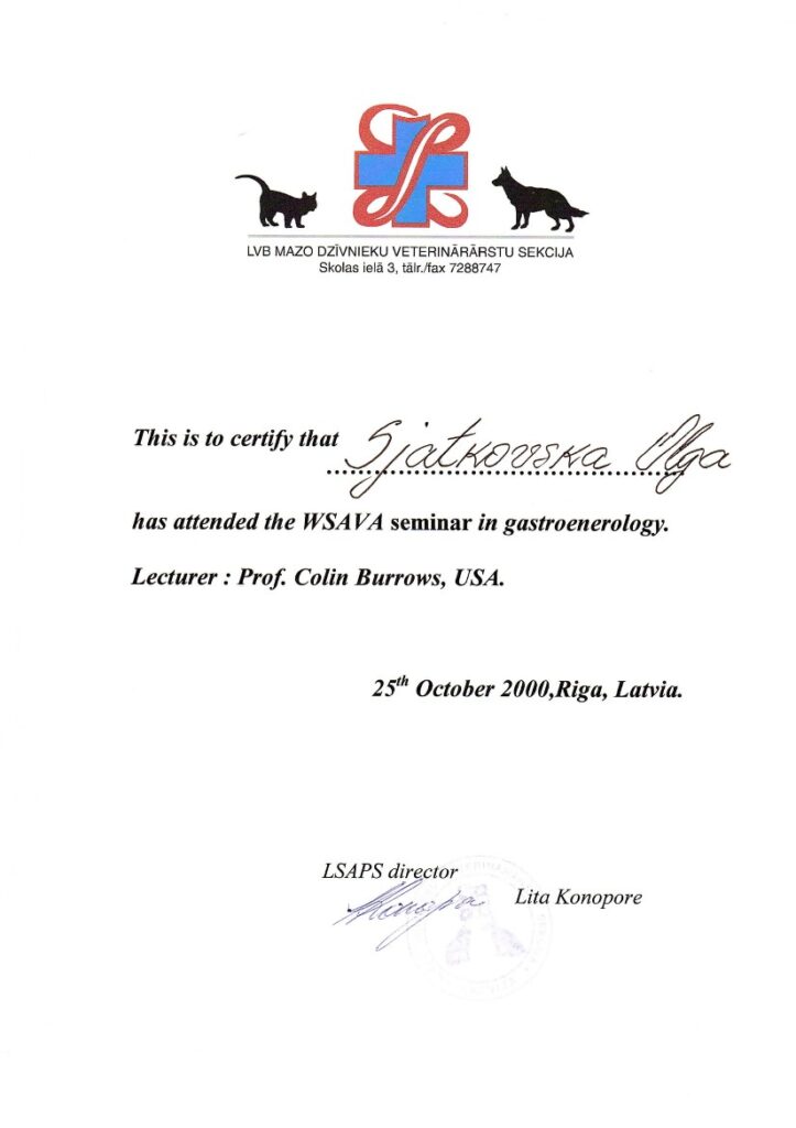 Olga Sjatkovskajan sertifikaatti: wsava gastroenterology 2000 723x1024