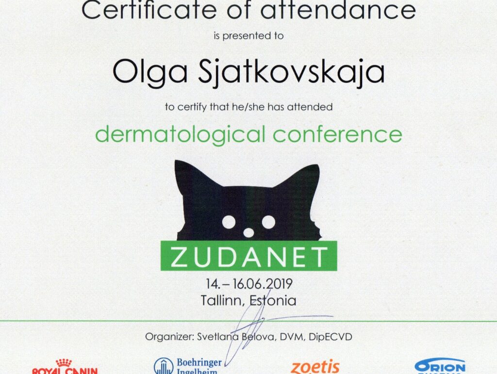 Olga Sjatkovskajan sertifikaatti: zudanet dermatology tallinn 2019 1024x771